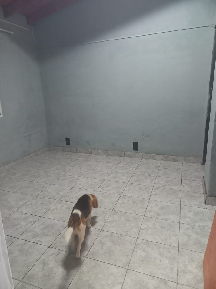 Venta Dos Casas Local muy buena ubicacion Jose C Paz 